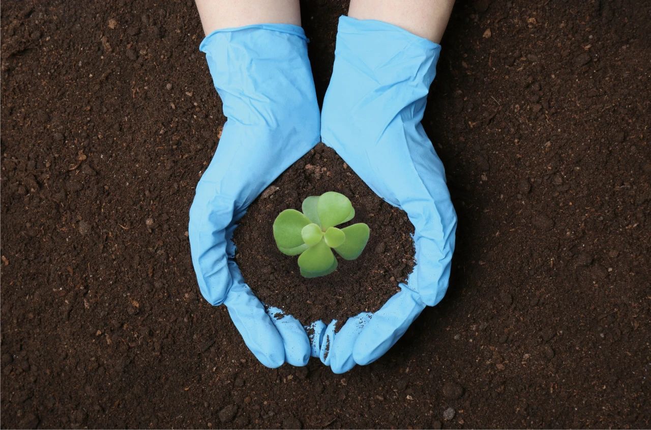 �Ƿ�����(�й���)-�ٷ���վ