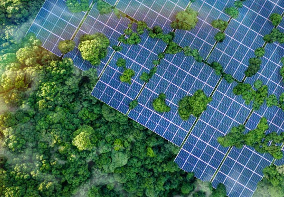 �Ƿ�����(�й���)-�ٷ���վ